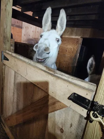 $579,900 | 126 Simeon Dean Road, Shaftsbury, VT 05262