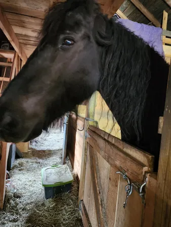 $579,900 | 126 Simeon Dean Road, Shaftsbury, VT 05262