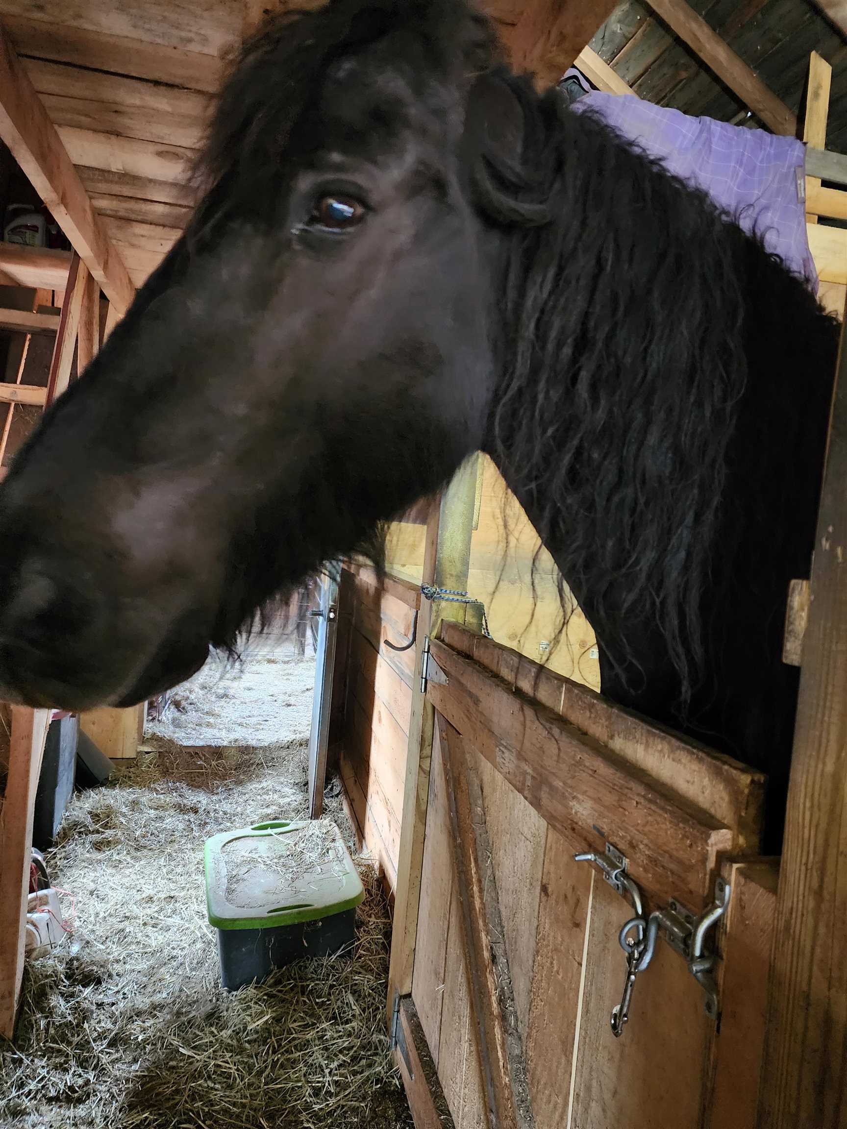 126 Simeon Dean Road Shaftsbury, VT 05262 - Photo 57 of 60