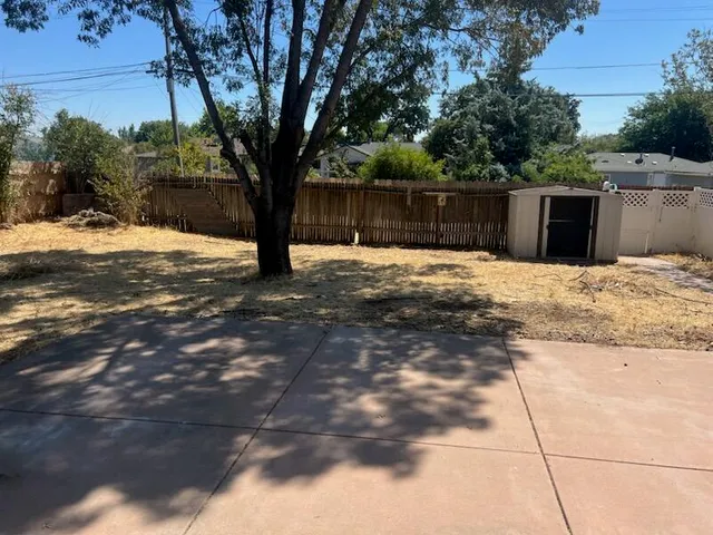 a street view with large trees and wooden fence