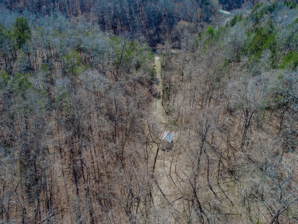 2922 Crossfield Road Bybee, TN 37713 - Photo 10 of 27 Gallery Image 10