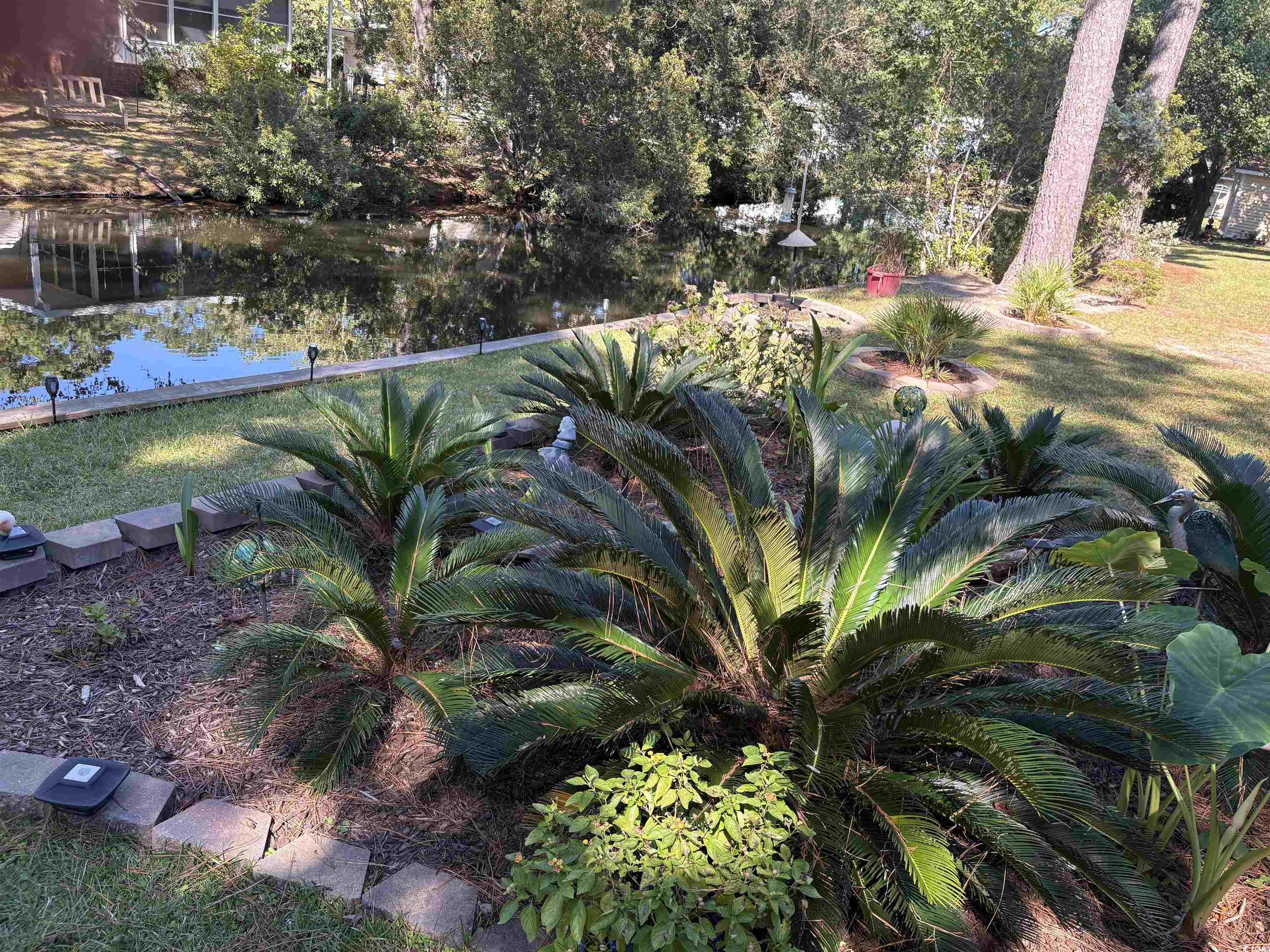 3308 Shagbark Trail Murrells Inlet, SC 29576 - Photo 19 of 23 Gallery Image 19