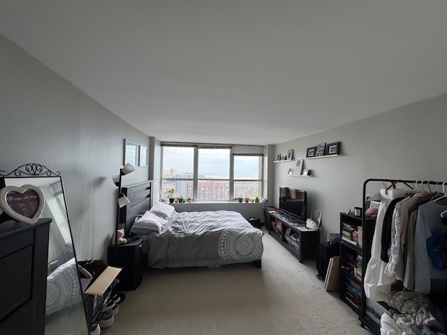 655 West Irving Park Road, Unit 3408 Chicago, IL 60613 - Photo 13 of 23