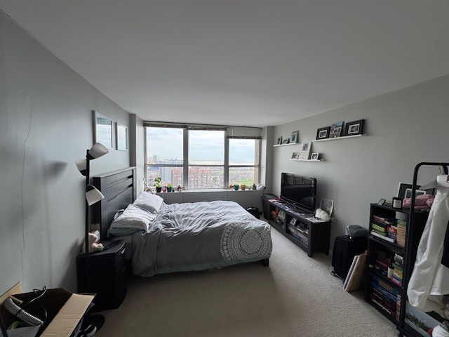 655 West Irving Park Road, Unit 3408 Chicago, IL 60613 - Photo 14 of 23