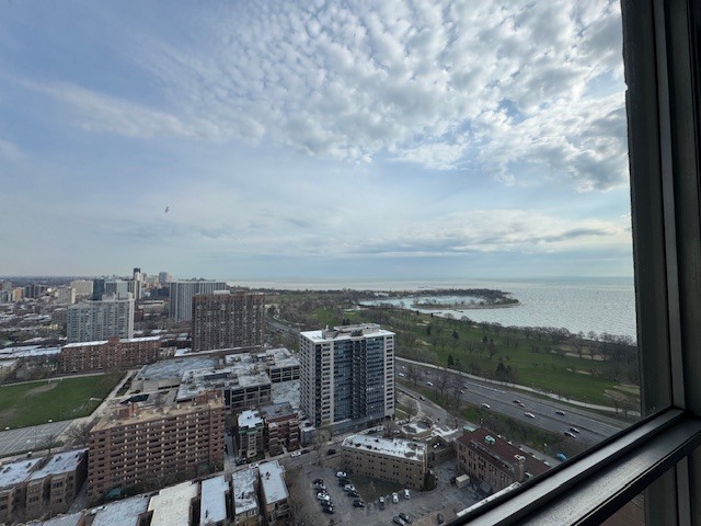 655 West Irving Park Road, Unit 3408 Chicago, IL 60613 - Photo 16 of 23