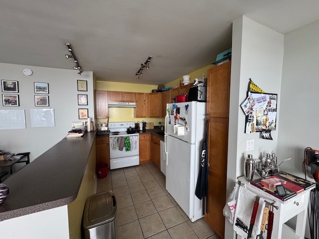 655 West Irving Park Road, Unit 3408 Chicago, IL 60613 - Photo 9 of 23