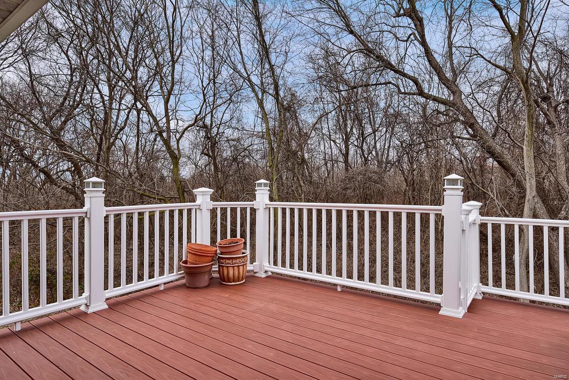 36 Meadow Rue Drive Edwardsville, IL 62025 - Photo 39 of 44 Gallery Image 39