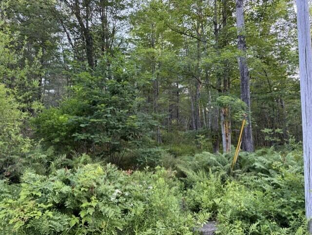 110 Calderwood Road Washington, ME 04574 - Photo 3 of 7 a6b28fd7-aaac-4562-8683-37389a76bf24