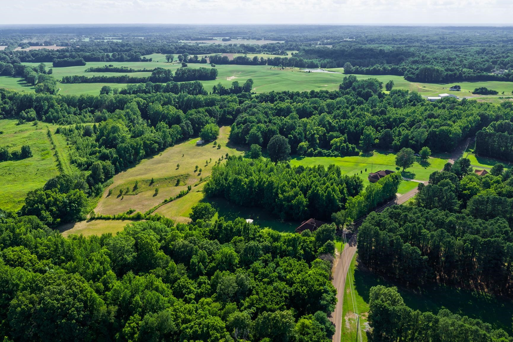 Campground Road Drummonds, TN 38023 - Photo 11 of 13