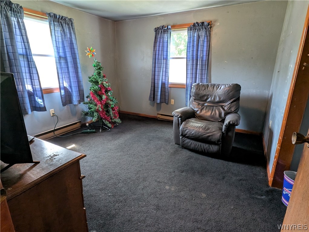 3402 Fruit Avenue Ridgeway, NY 14103 - Photo 35 of 50