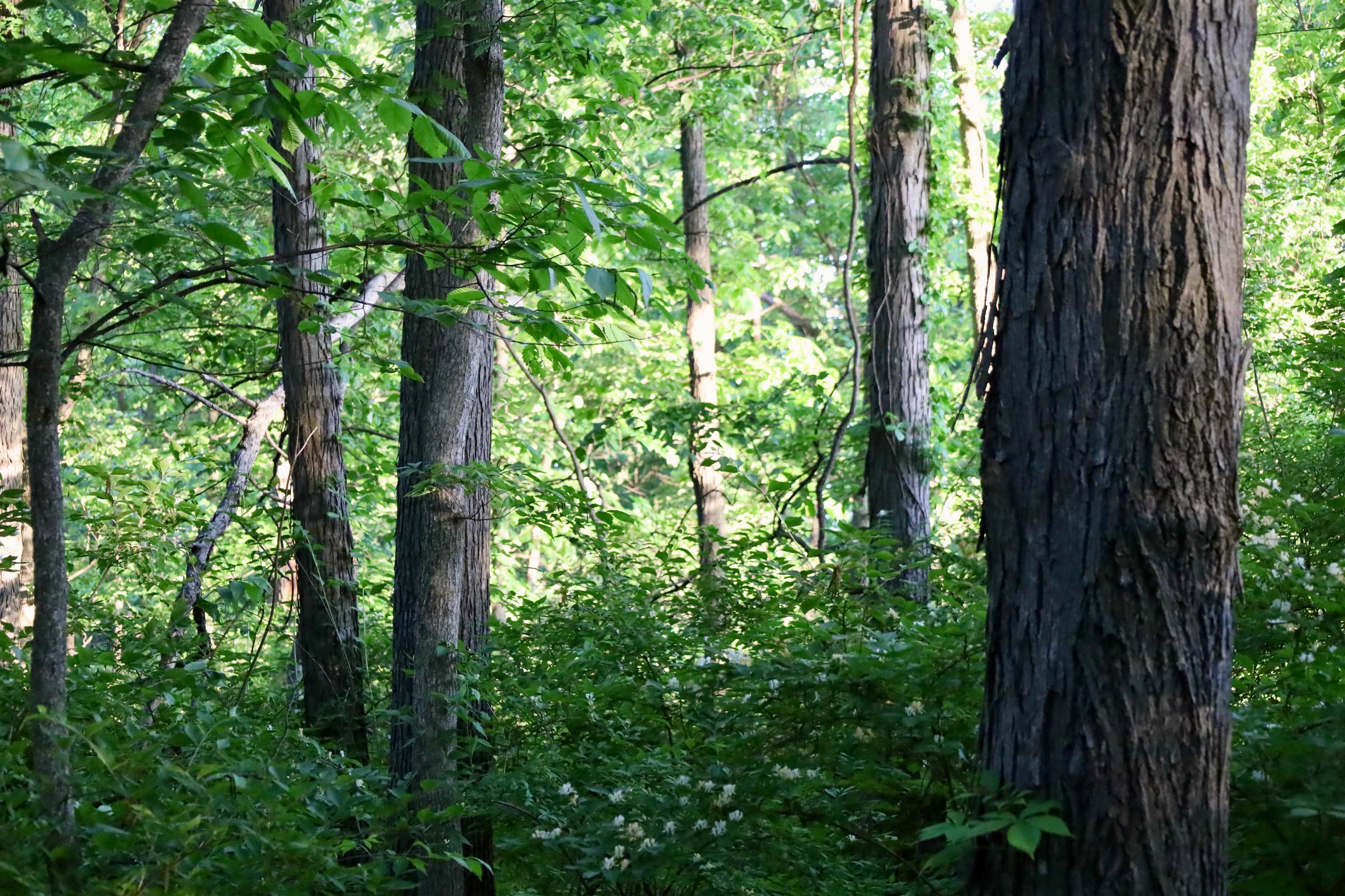 0 County T Boscobel, WI 53805 - Photo 29 of 30