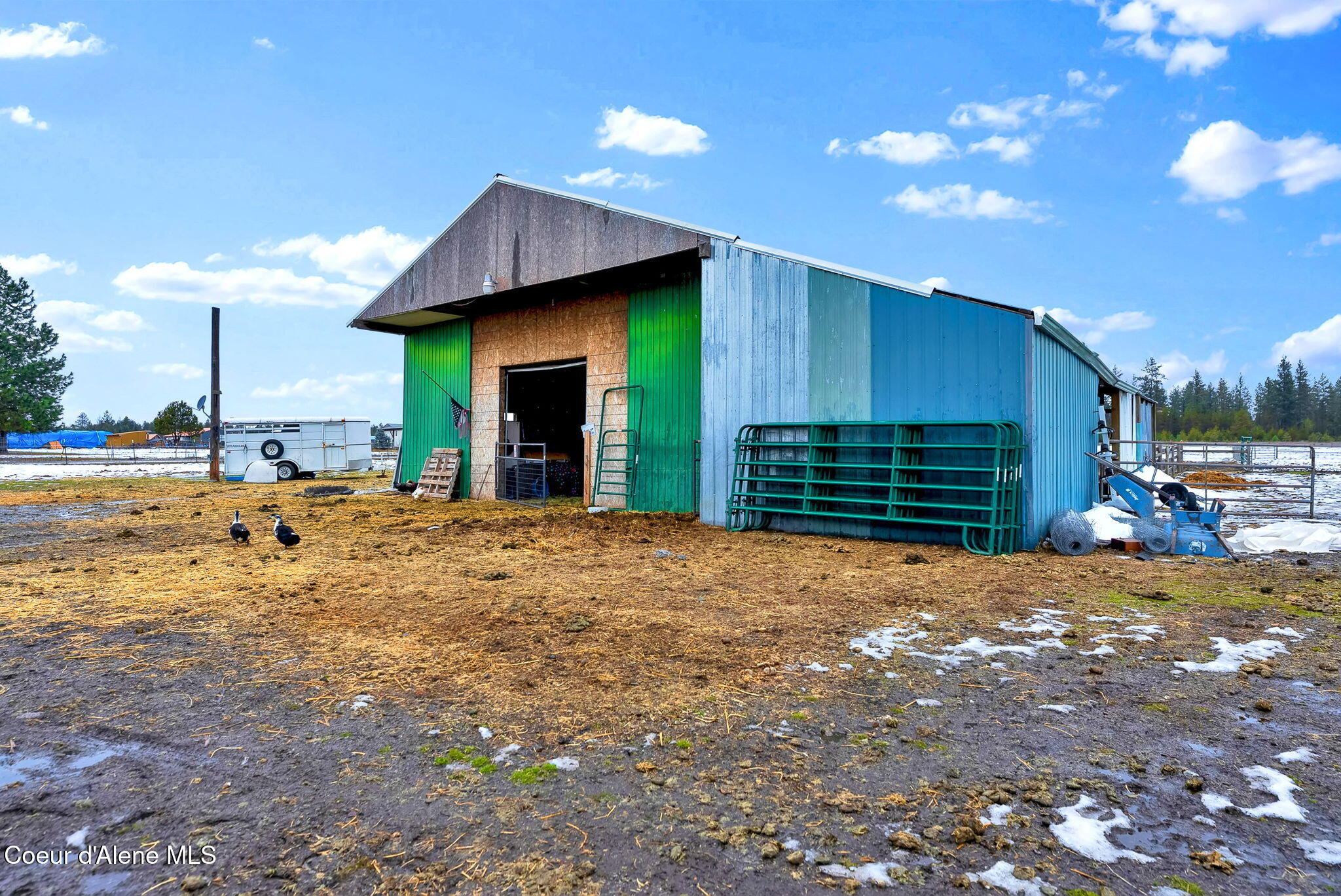 229 McDonald Creek Road Blanchard, ID 83804 - Photo 30 of 51 56-web-or-mls-SkyLight - Ryan-60