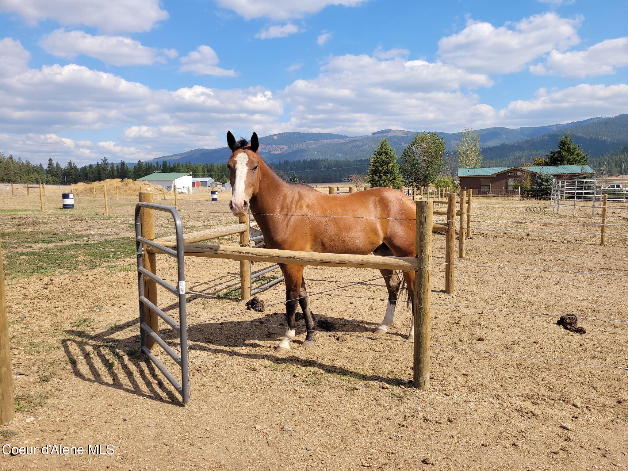 229 McDonald Creek Road Blanchard, ID 83804 - Photo 49 of 51 6126086879751999700