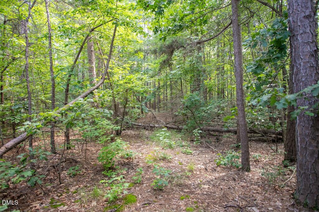 0 Stone Drive Roxboro, NC 27573 - Photo 36 of 96 23
