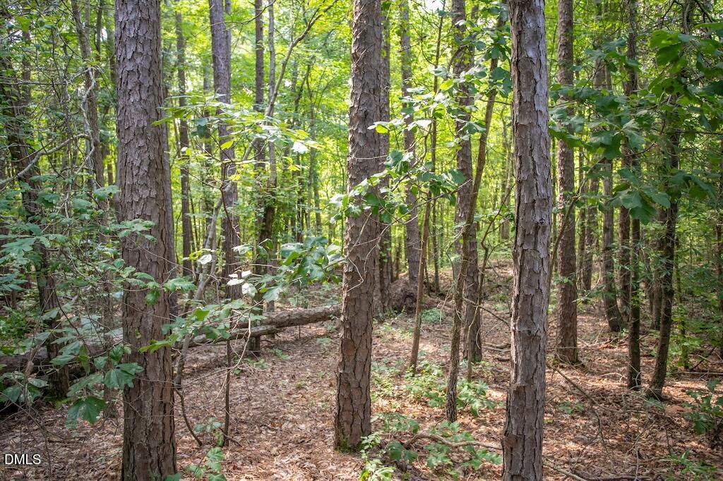 0 Stone Drive Roxboro, NC 27573 - Photo 37 of 96 24