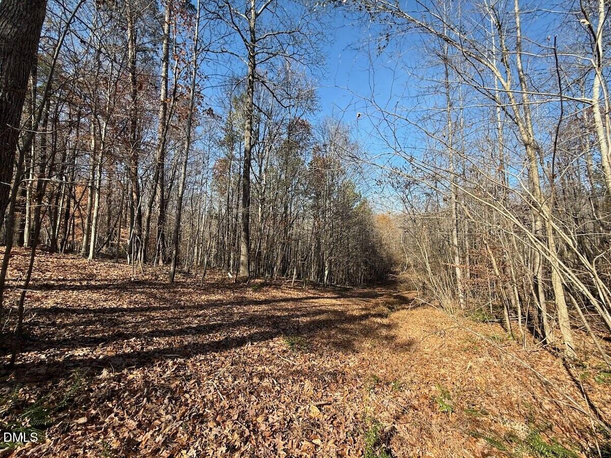 0 Stone Drive Roxboro, NC 27573 - Photo 42 of 96 28