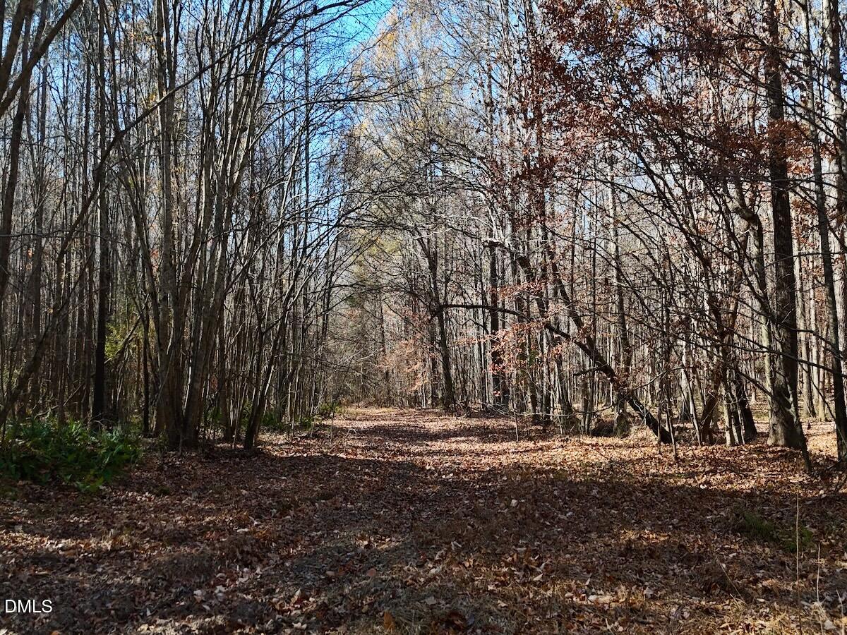 0 Stone Drive Roxboro, NC 27573 - Photo 45 of 96 30a