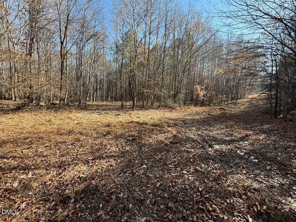 0 Stone Drive Roxboro, NC 27573 - Photo 46 of 96 31