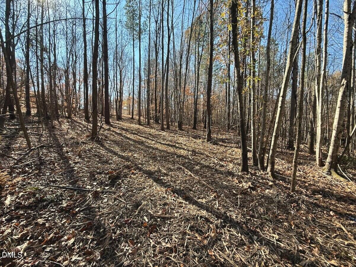 0 Stone Drive Roxboro, NC 27573 - Photo 49 of 96 34