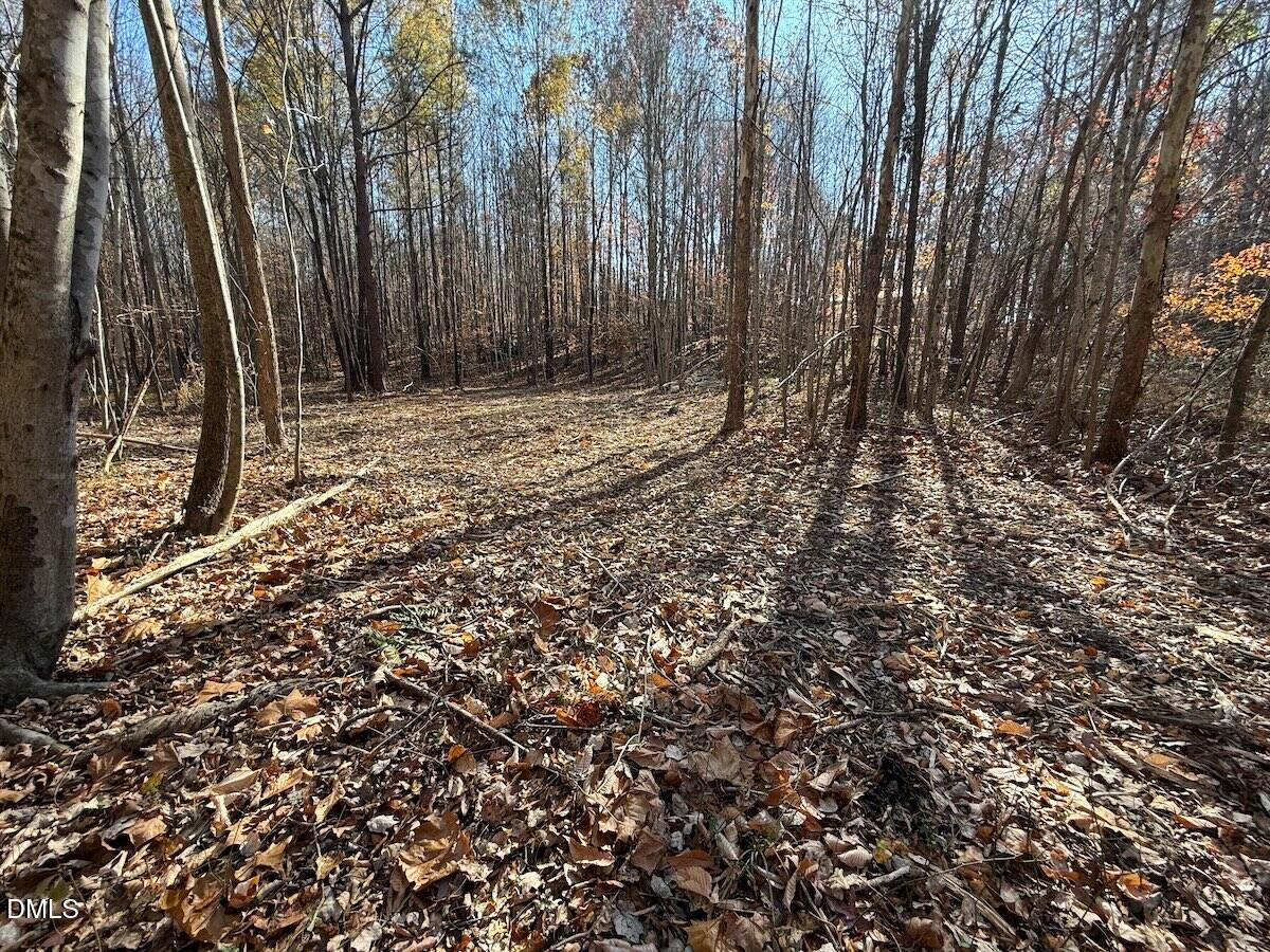 0 Stone Drive Roxboro, NC 27573 - Photo 50 of 96 35