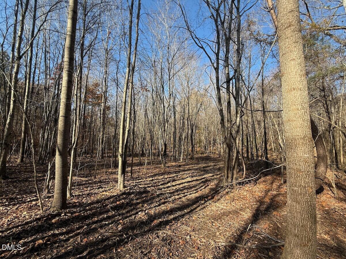 0 Stone Drive Roxboro, NC 27573 - Photo 54 of 96 39