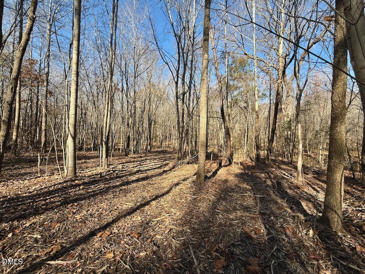 0 Stone Drive Roxboro, NC 27573 - Photo 56 of 96 41