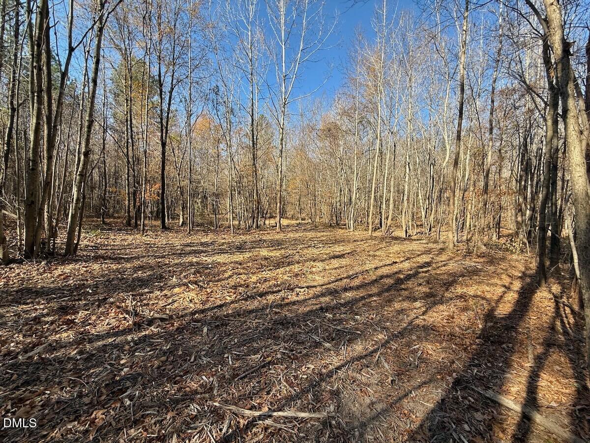 0 Stone Drive Roxboro, NC 27573 - Photo 59 of 96 44