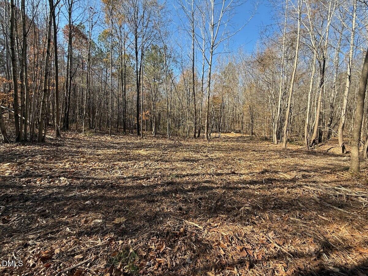 0 Stone Drive Roxboro, NC 27573 - Photo 60 of 96 45