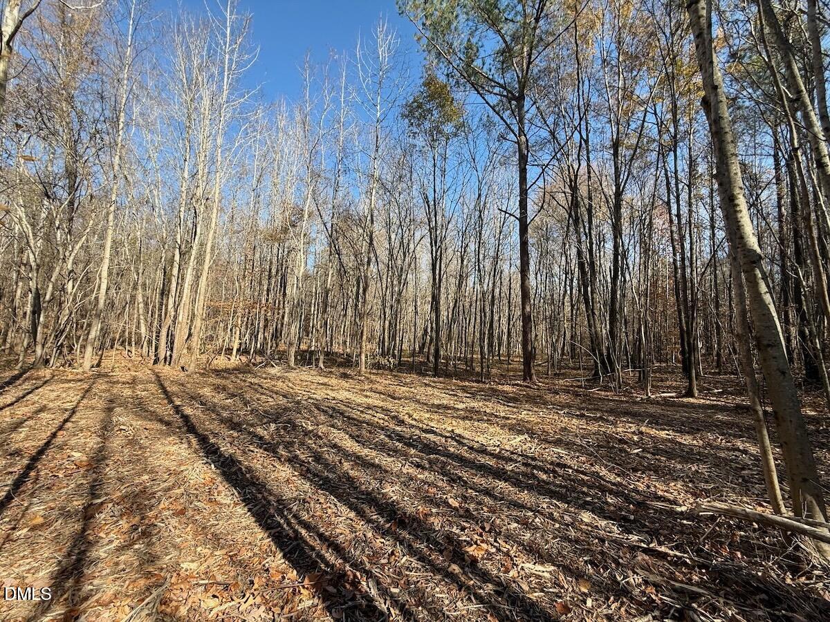 0 Stone Drive Roxboro, NC 27573 - Photo 63 of 96 48
