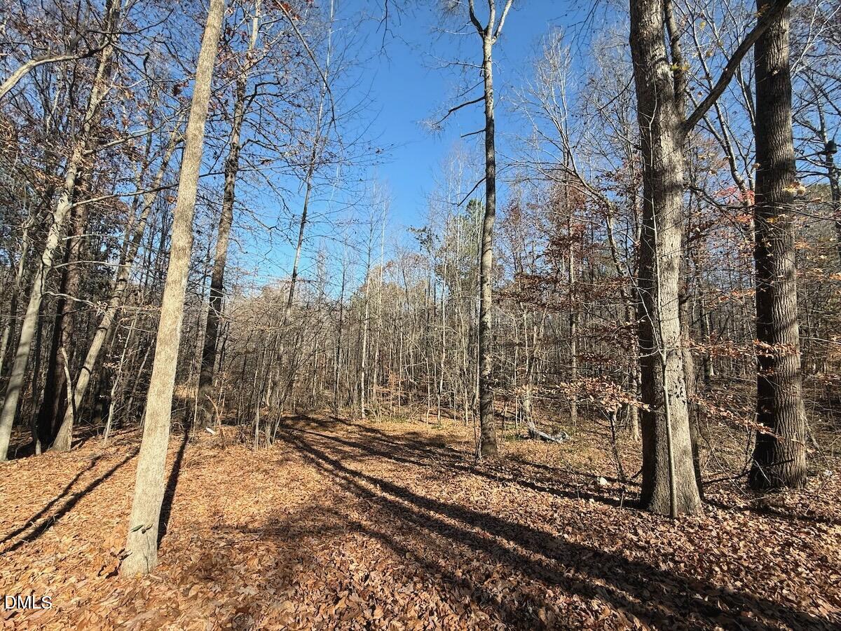 0 Stone Drive Roxboro, NC 27573 - Photo 64 of 96 49