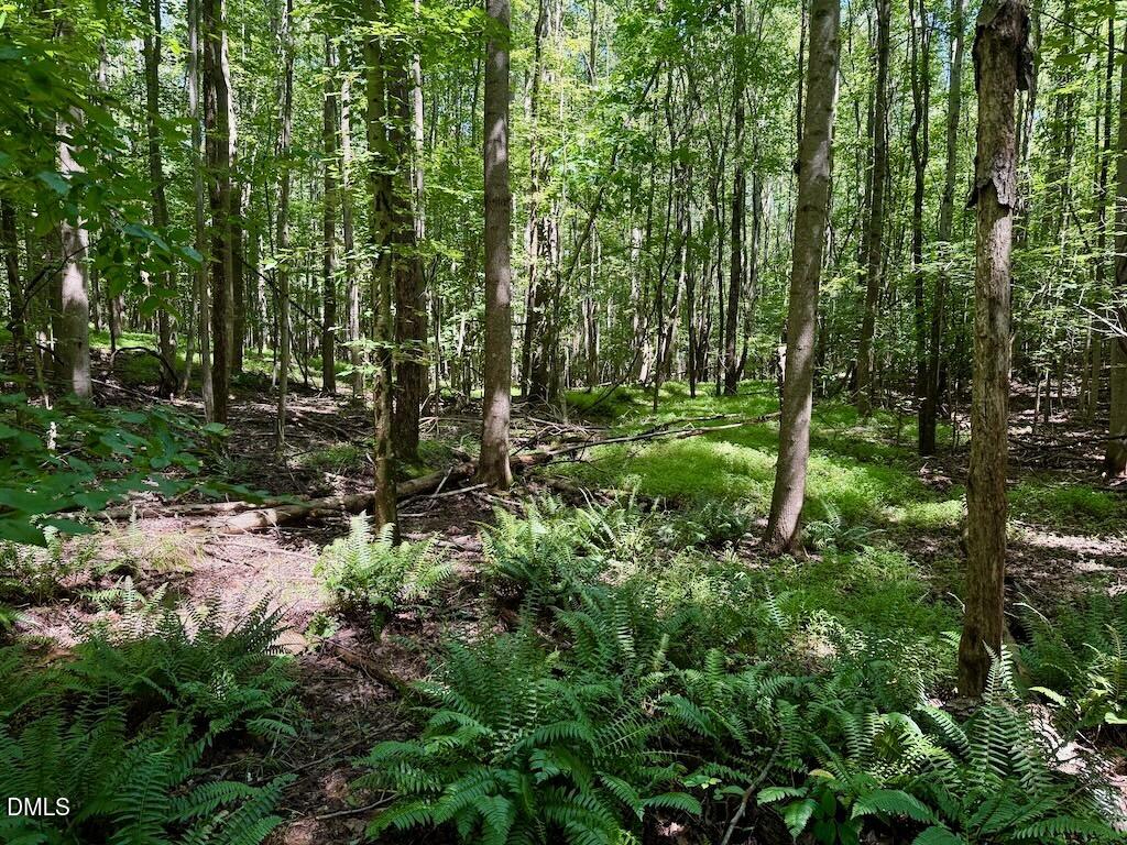 0 Stone Drive Roxboro, NC 27573 - Photo 68 of 96 53