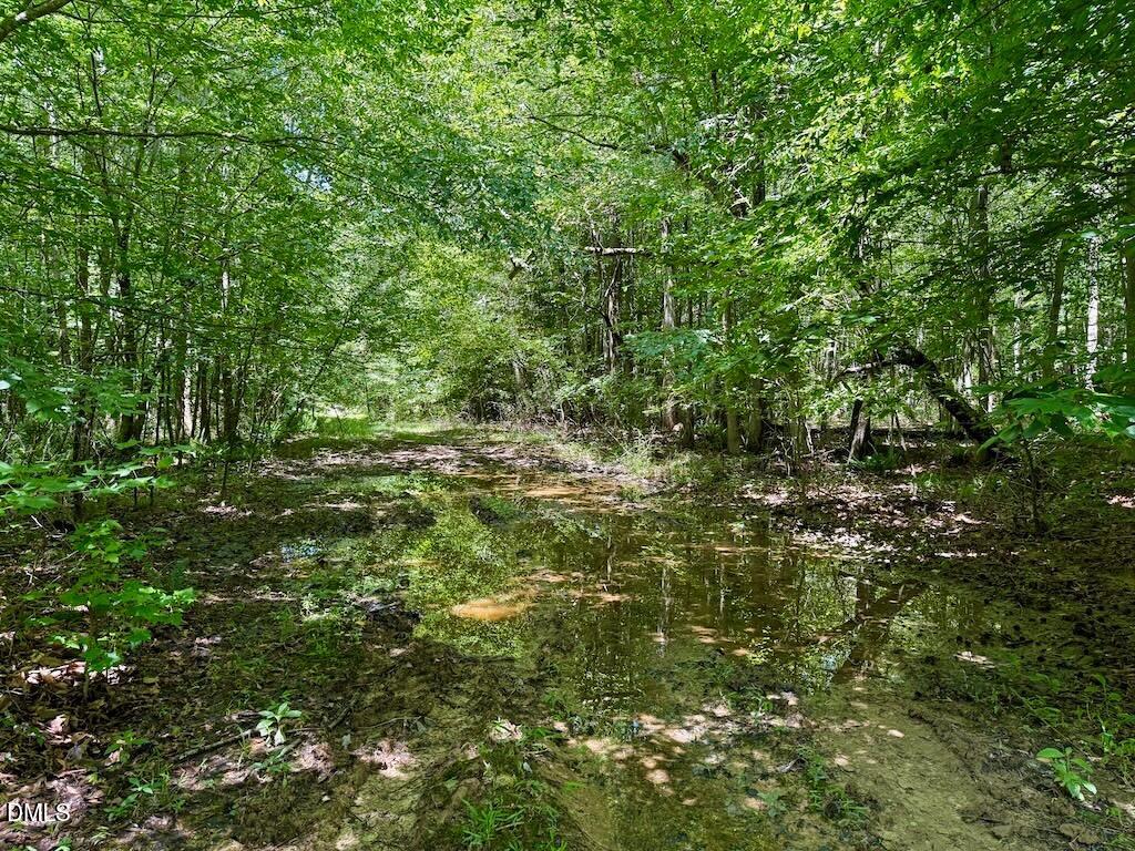 0 Stone Drive Roxboro, NC 27573 - Photo 80 of 96 65
