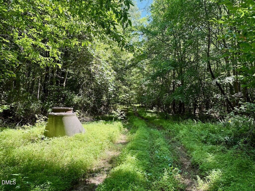 0 Stone Drive Roxboro, NC 27573 - Photo 82 of 96 67