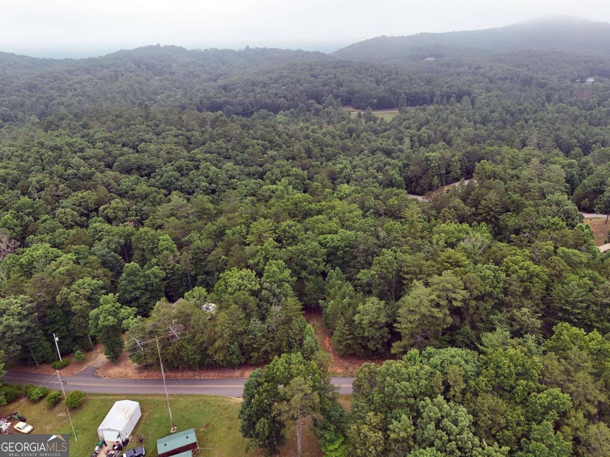 Lot 3 Cook Henry Road Blairsville, GA 30512 - Photo 7 of 18