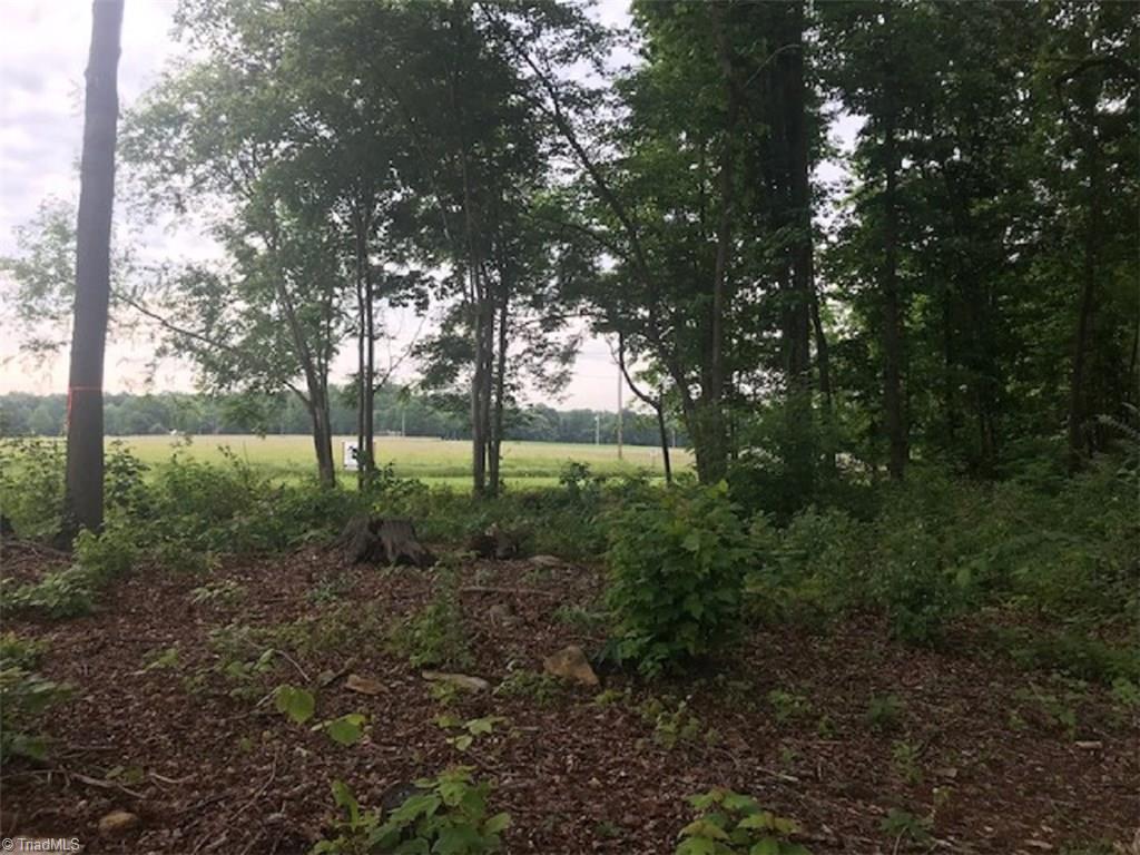 Lot 2 Mebane Oaks Road Mebane, NC 27302 - Photo 5 of 12 Gallery Image 5