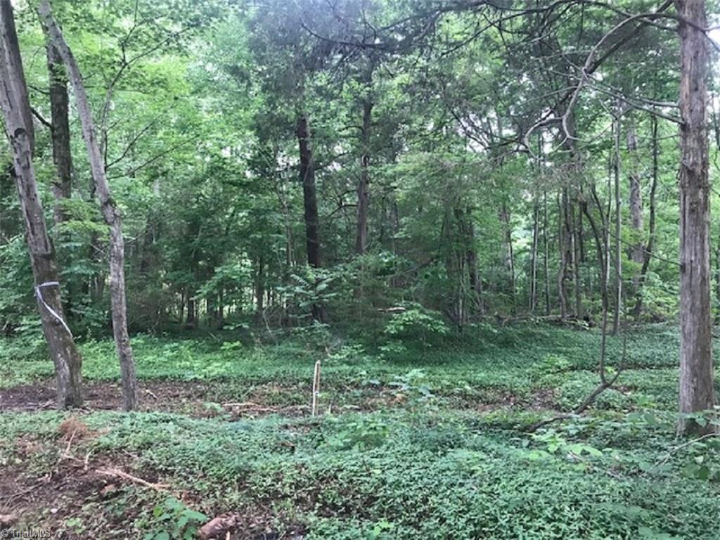 Lot 2 Mebane Oaks Road Mebane, NC 27302 - Photo 7 of 12 Gallery Image 7