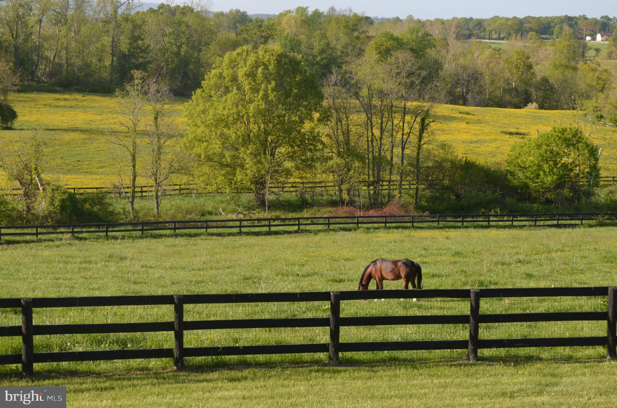 20560 Furr Road Round Hill, VA 20141 - Photo 3 of 27 View