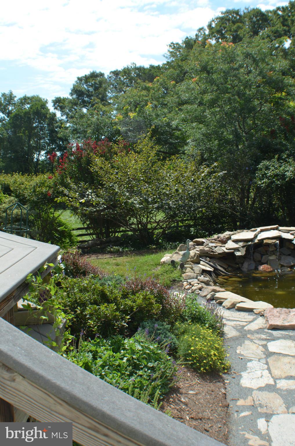 20560 Furr Road Round Hill, VA 20141 - Photo 25 of 27 Exterior (Rear)