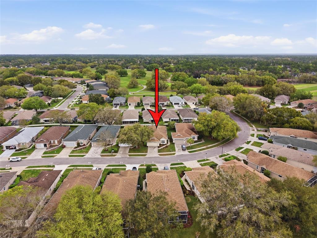 15021 Tamarind Loop Spring Hill, FL 34609 - Photo 62 of 86