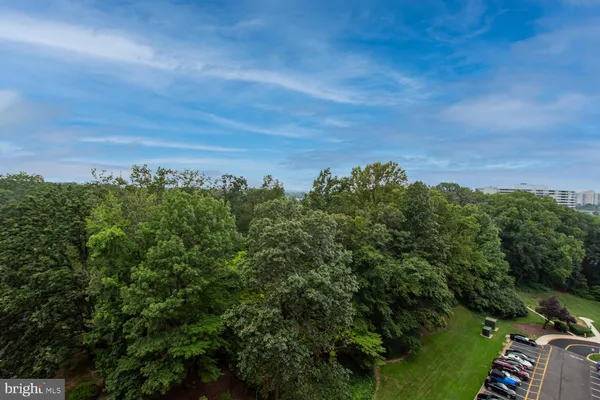 $3,000 | 203 Yoakum Parkway, Unit 1217, Alexandria, VA 22304