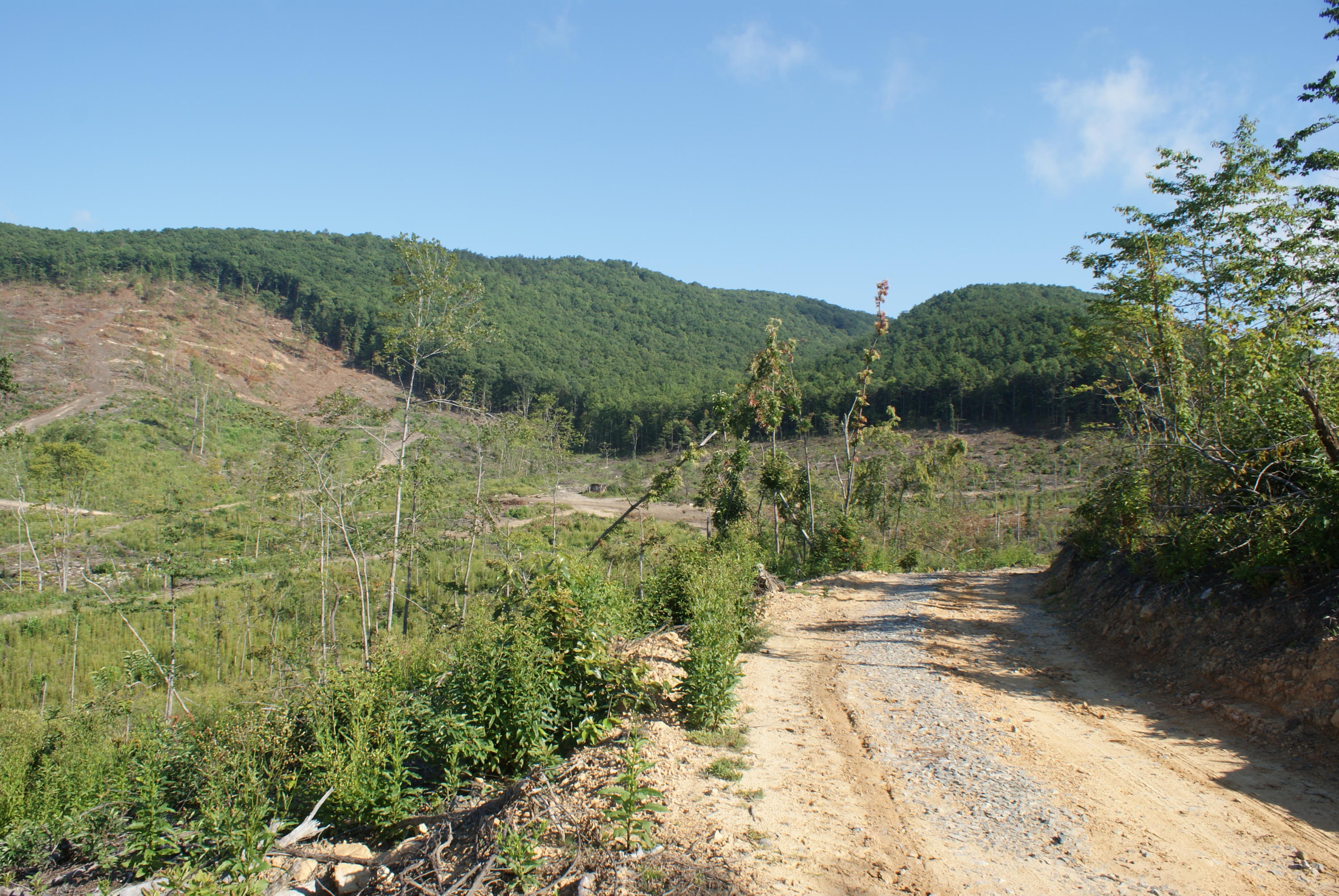 653 White Church Road Fincastle, VA 24090 - Photo 2 of 29 Switzer Mtn./Green Spur