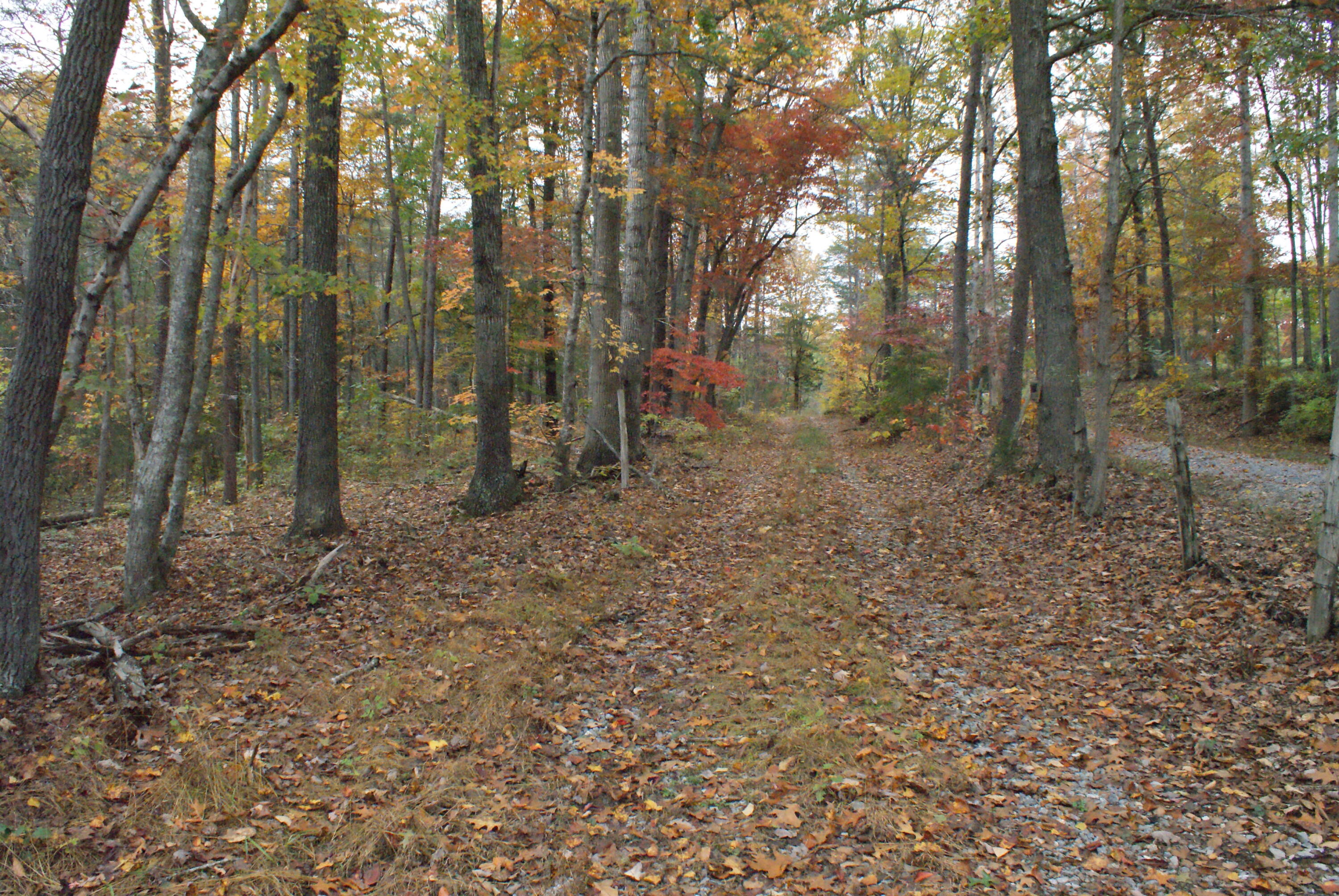 653 White Church Road Fincastle, VA 24090 - Photo 11 of 29 DSC08649