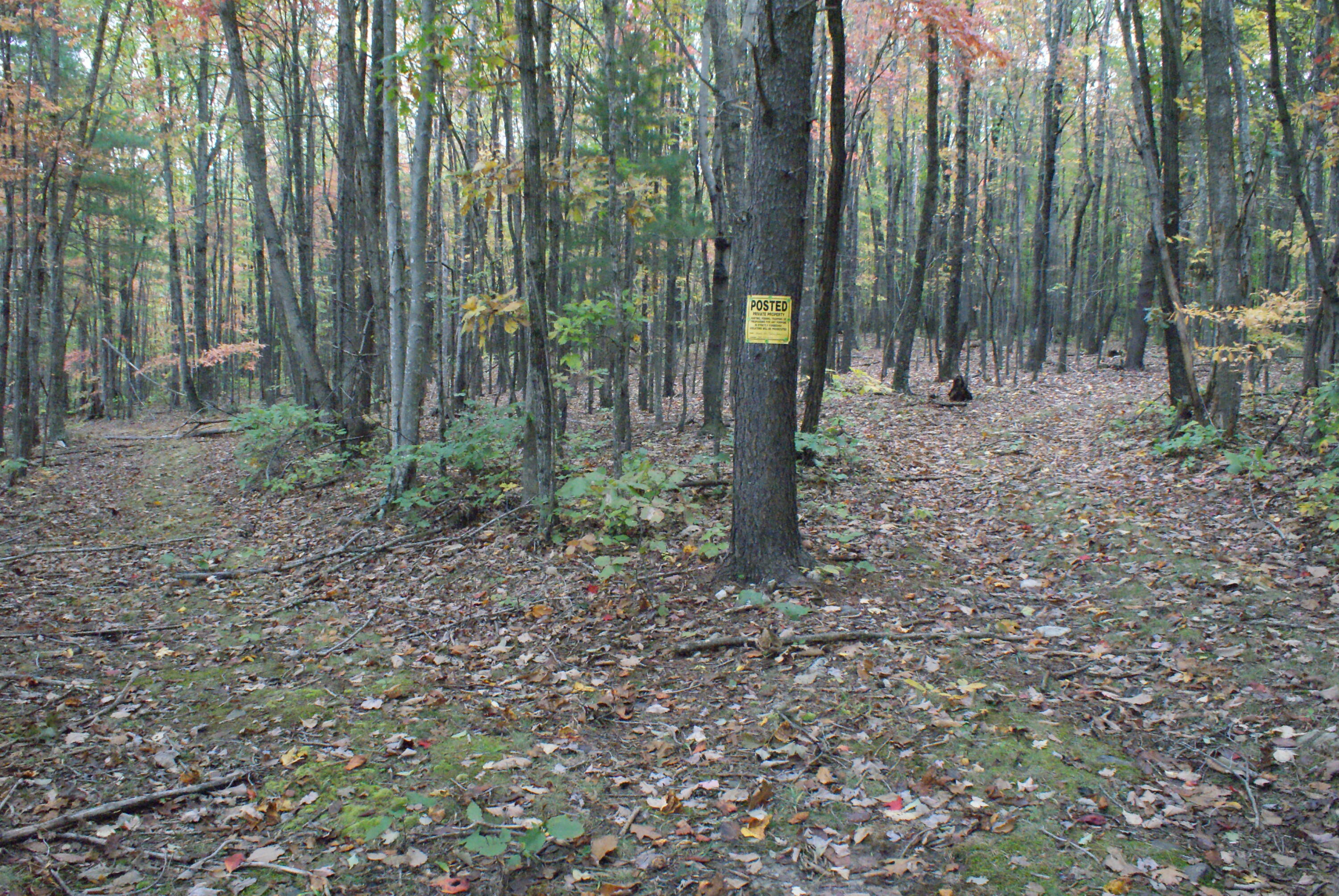 653 White Church Road Fincastle, VA 24090 - Photo 14 of 29 DSC08668