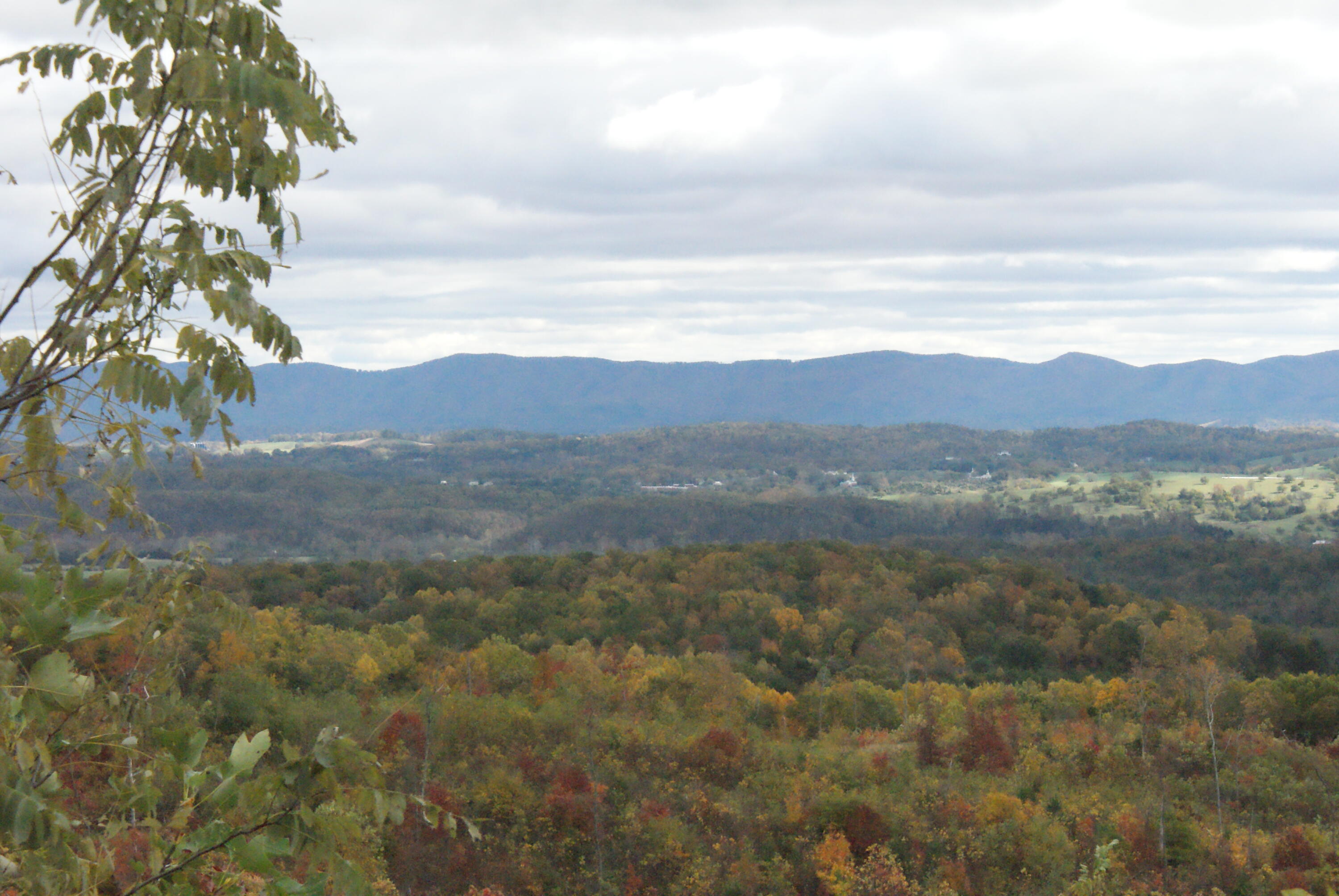 653 White Church Road Fincastle, VA 24090 - Photo 26 of 29 DSC08715