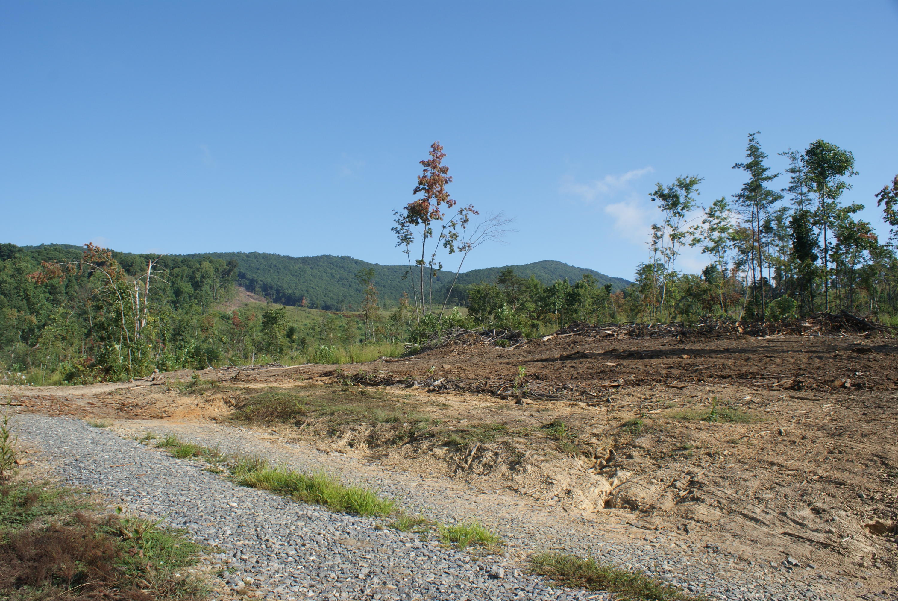 653 White Church Road Fincastle, VA 24090 - Photo 4 of 29 Possible Game plot