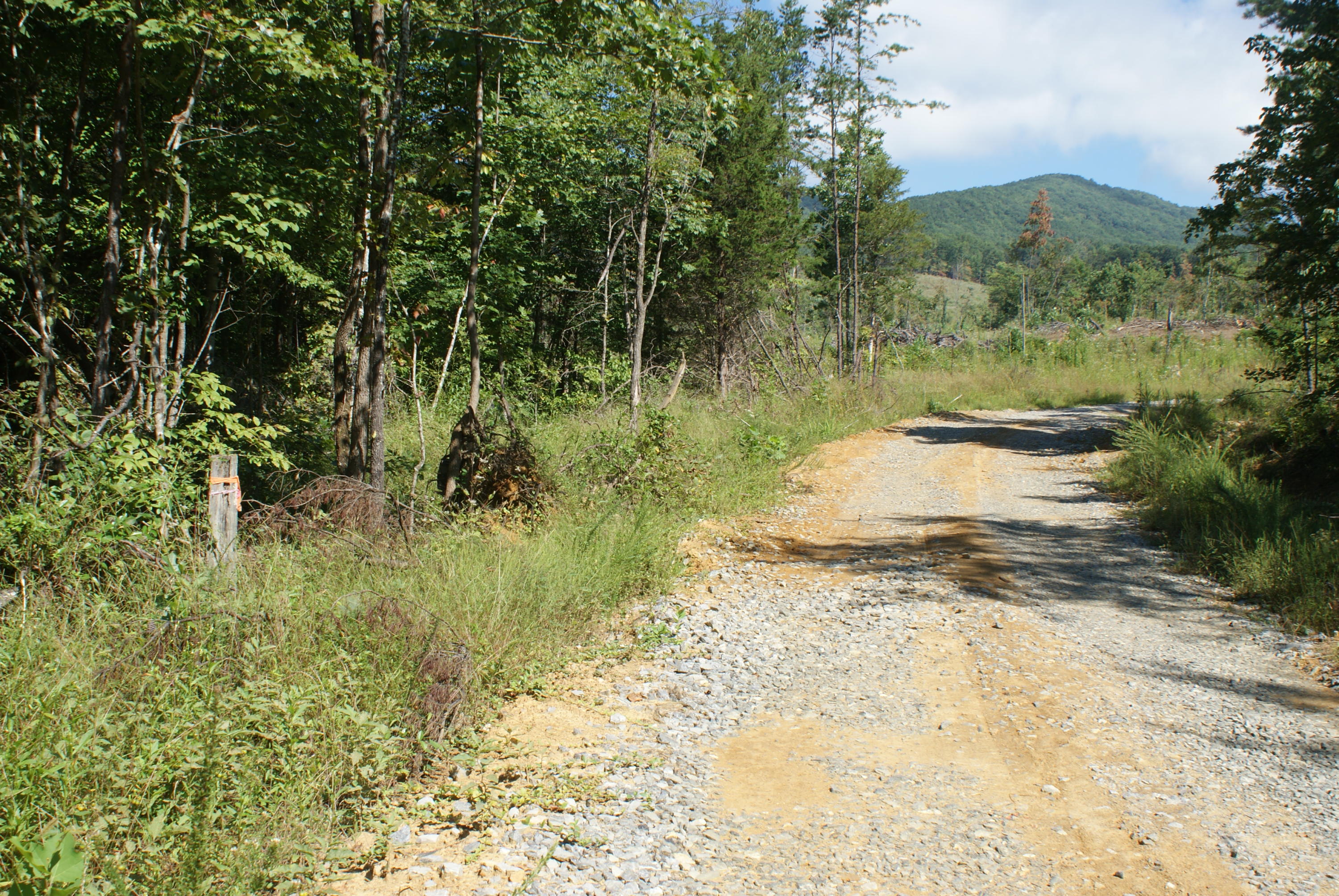 653 White Church Road Fincastle, VA 24090 - Photo 5 of 29 Access Road
