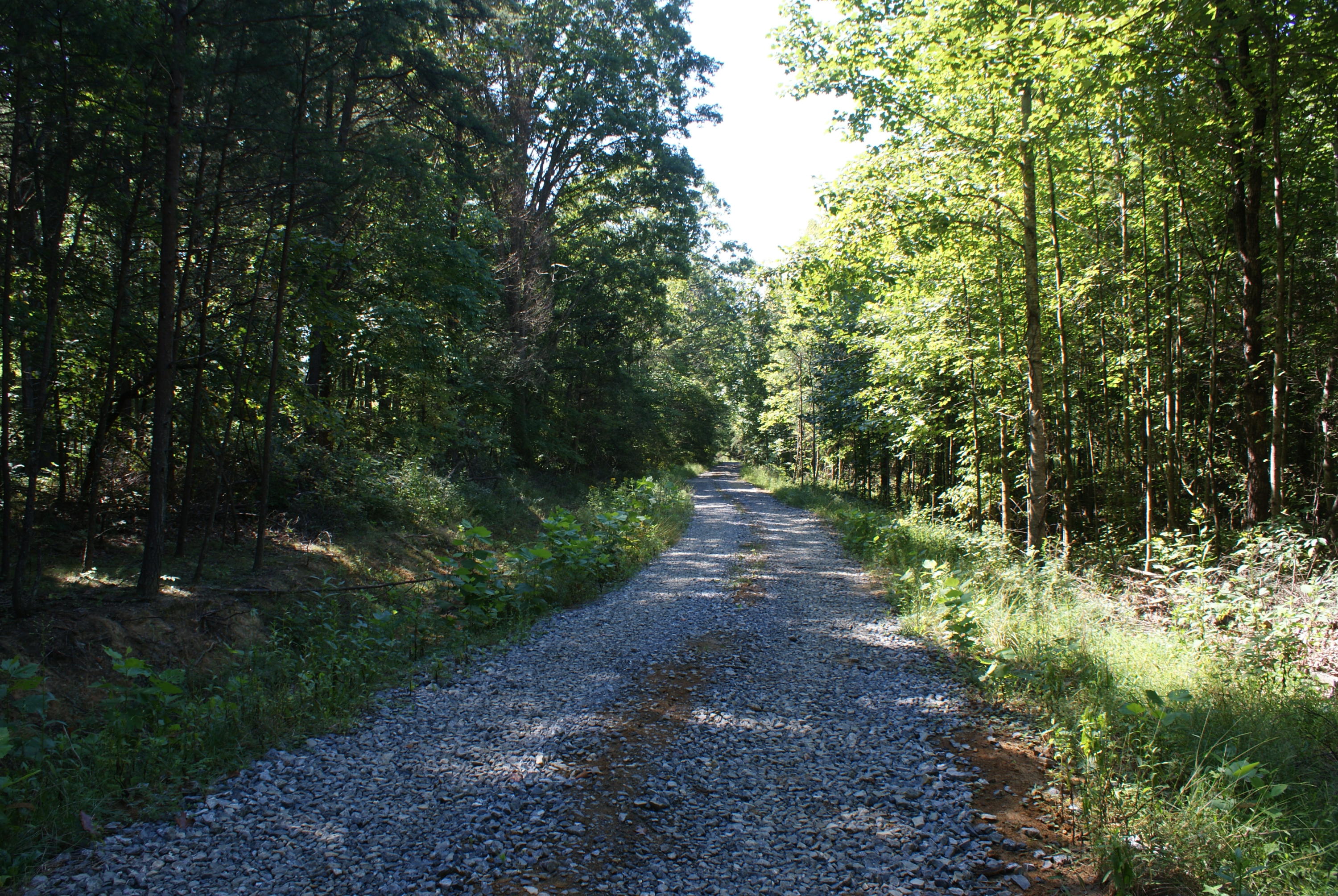 653 White Church Road Fincastle, VA 24090 - Photo 7 of 29 Graveled Access Rd.