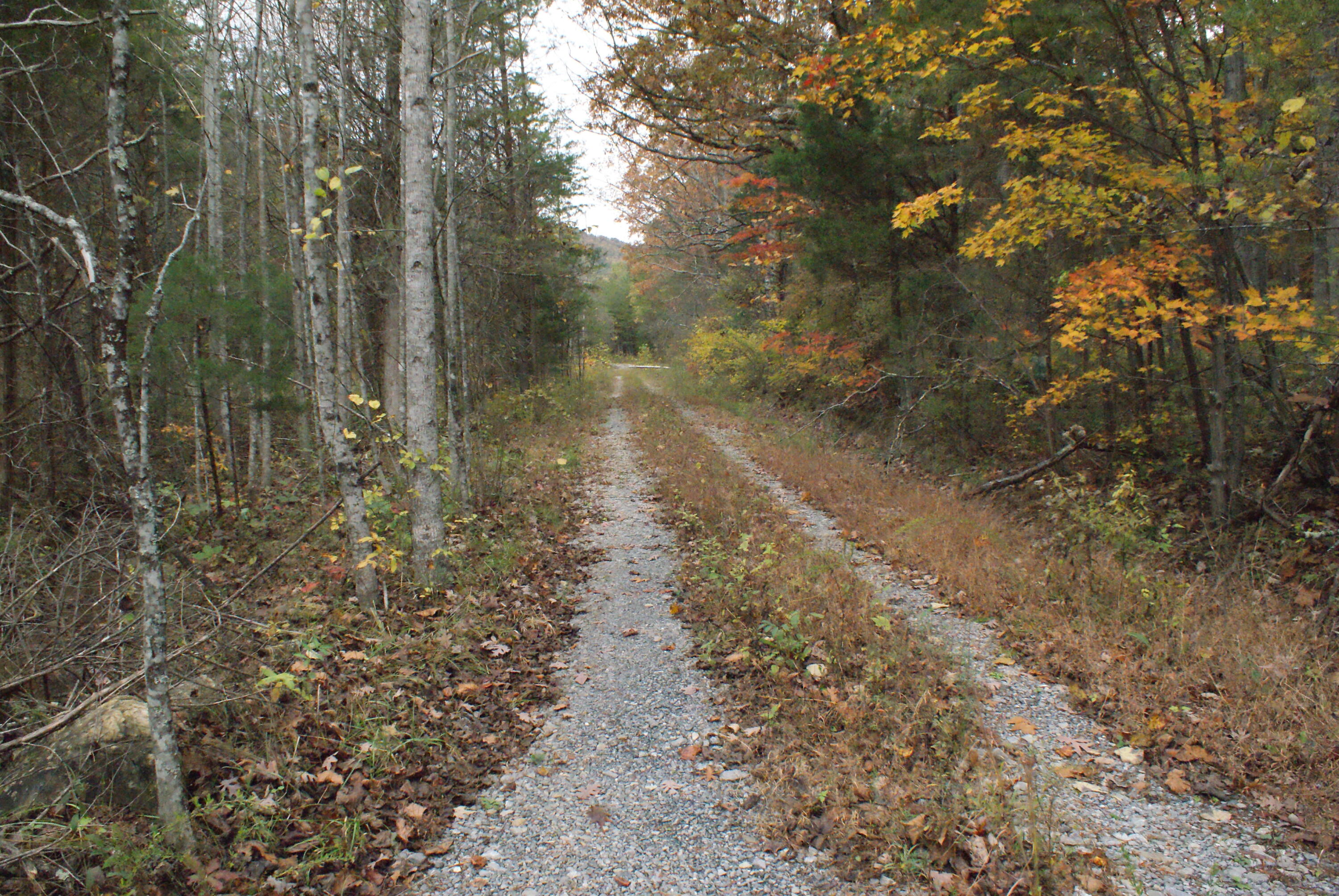 653 White Church Road Fincastle, VA 24090 - Photo 10 of 29 DSC08652