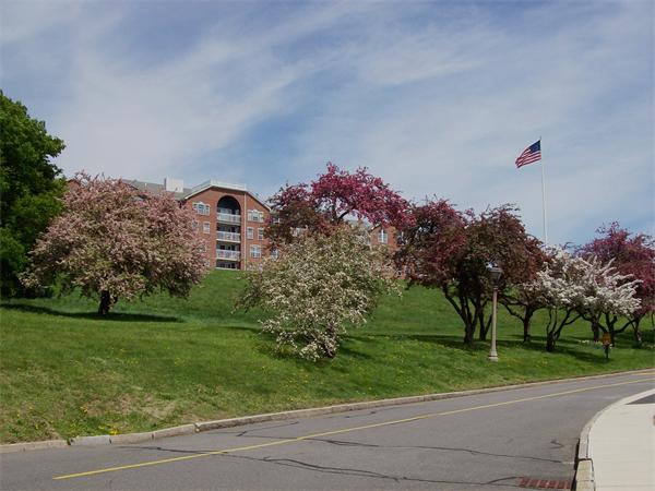 160 Commandants Way, Unit 303 Chelsea, MA 02150 - Photo 17 of 17 Gallery Image 17