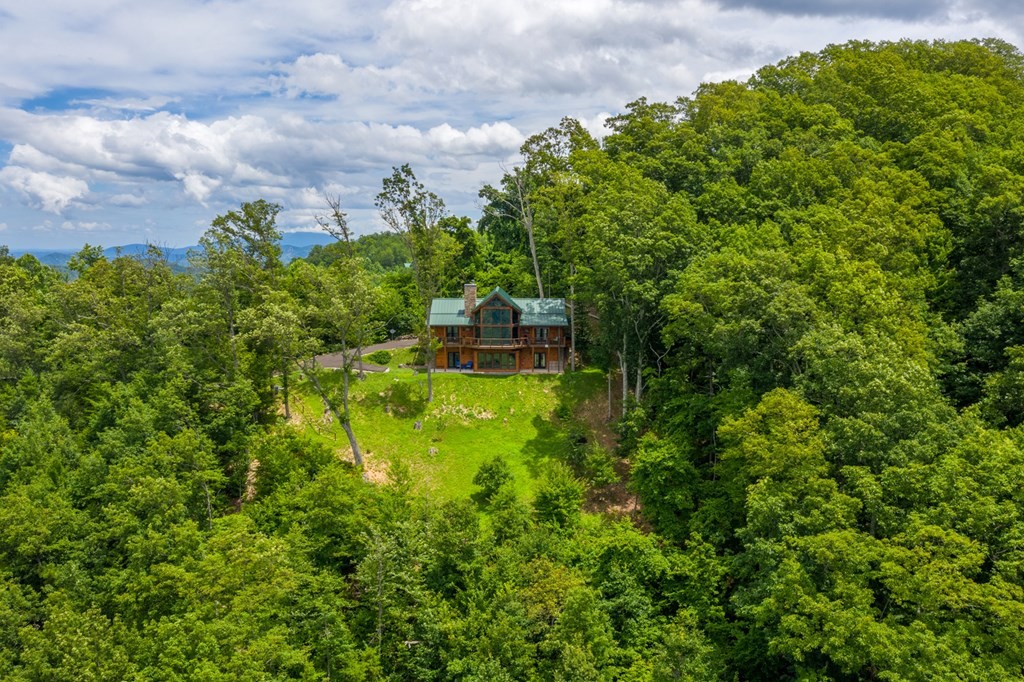 2608 Dogwood Ridge Way Sevierville, TN 37862 - Photo 44 of 49